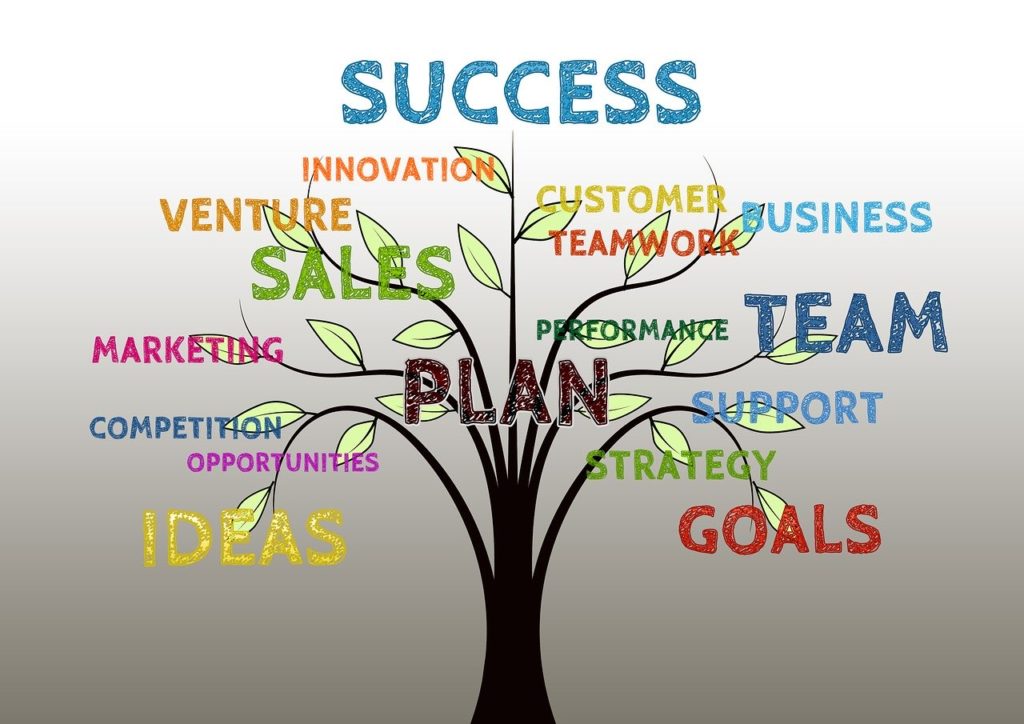 fasi del successo